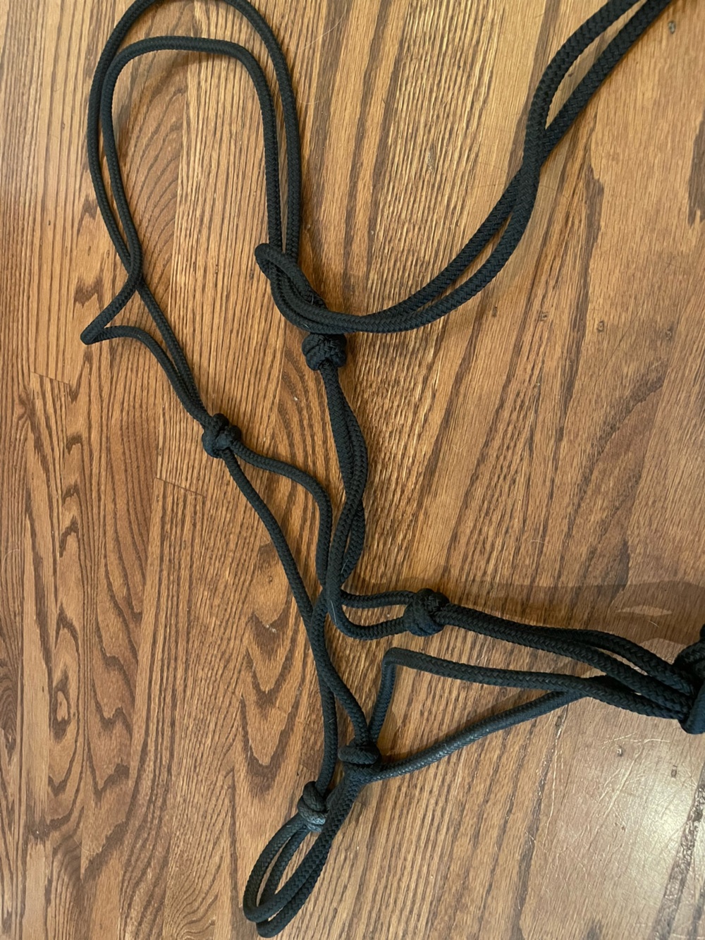 Black Rope Halter - Picture 2 of 5